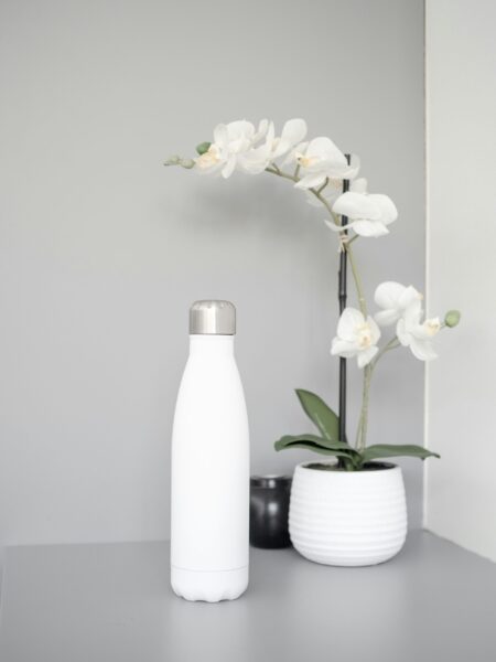 Stainless Steel Insulated Water Bottle, 750ml Leakproof Travel Bottle